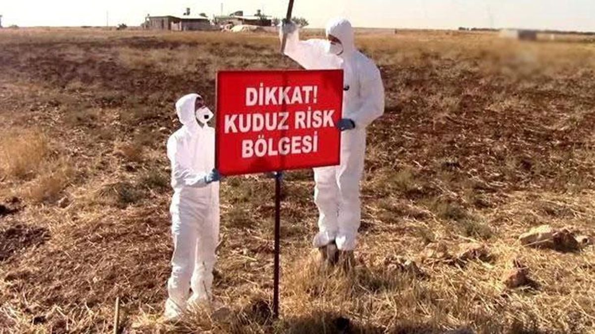 Adıyaman'da kuduz paniği! İki mahalle karantina altına alındı