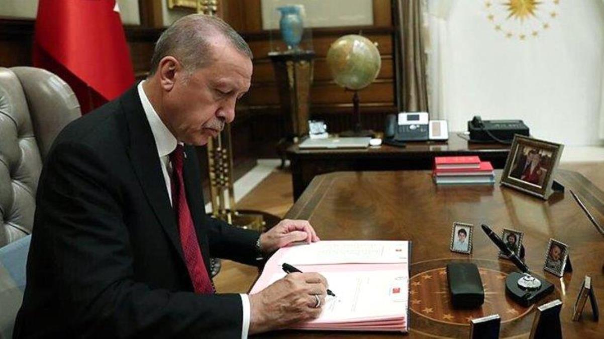 Cumhurbaşkanlığı Başdanışmanlığı'na AK Partili Sevgi Yiğit atandı - Haberler