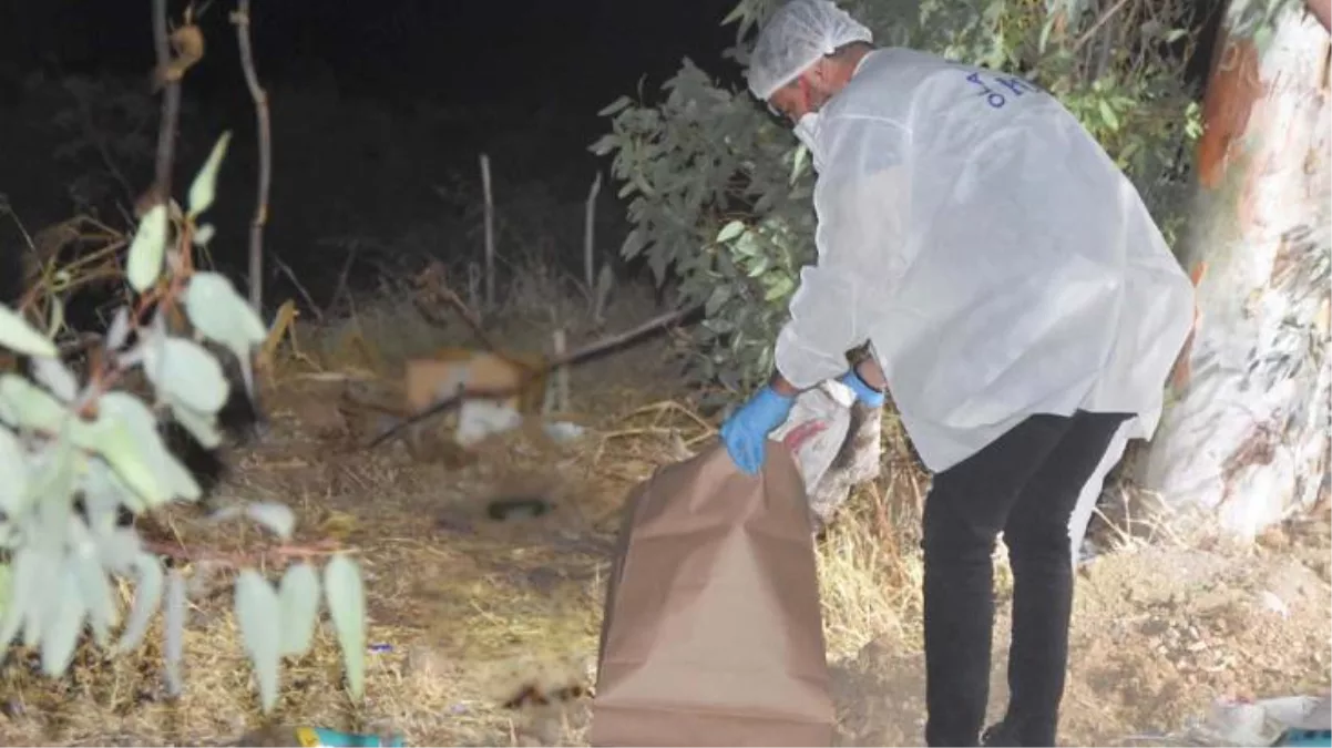 Kokuyu fark eden vatandaşlar polisi aradı! Kum dolu çuvalın içinden çürümeye başlayan erkek cesedi çıktı