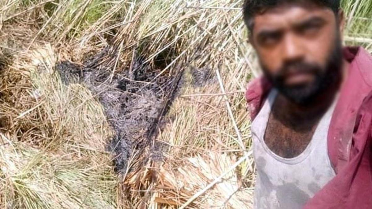 Muğla'da yangınla ilgili gözaltına alınan şahıslardan birinin sazlıkta özçekim yaptığı ortaya çıktı - Haberler