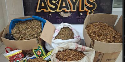 250 kg kıyılmış tütün 7 kg yaş nargile tütünü 4 paket kaçak çay