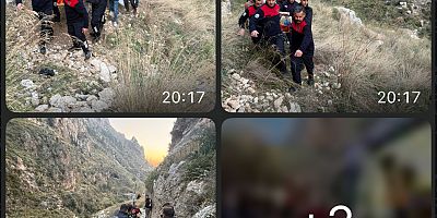 Antakya habibi Neccar