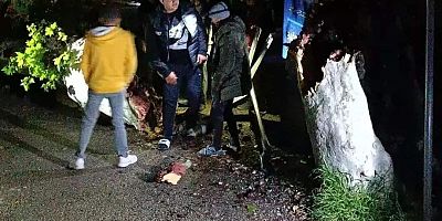 Antakya ilçesi Bağrıyanık Mahallesinde (Pazar Alanı) bulunan asırlık çınar, şiddetli fırtına nedeniyle devrildi.  Olayda yaralanan olmazken, ağacın devrilmesi sırasında elektrik kabloları da zarar gördü.