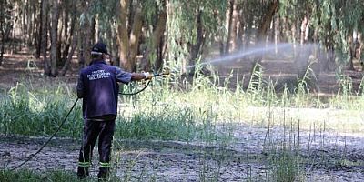  Büyükşehir Belediyesi (