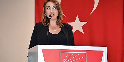 CHP H atay Milletvekili Nermin Yıldırım Kara, Limakport İskenderun Liman İşletmesi girişinde yaşanan su taşkınlarıyla ilgili yazılı bir basın açıklaması yaptı. ///ANKARA YILDIRIM - KARA: İSKENDERUN, LİMAKPORT'UN KİRİNE MAHKÛM OLAMAZ 6 Şubat depremleri
