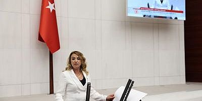 CHP Hatay Milletvekili Nermin Yıldırım Kara, Afet ve Acil Durum Yönetim Başkanlığı 2024 Bütçesi’ne dair TBMM Genel Kurulu’nda konuşma yaptı.  ///ANKAR