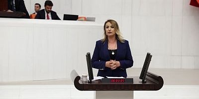 Cumhuriyet Halk Partisi Hatay Milletvekili Nermin Yıldırım Kara, eğitim