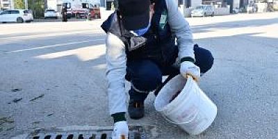 HAMAMBÖCEĞİ VE KEMİRGENLER GİBİ VEKTÖRLERE KARŞI MÜCADELE SÜRÜYOR