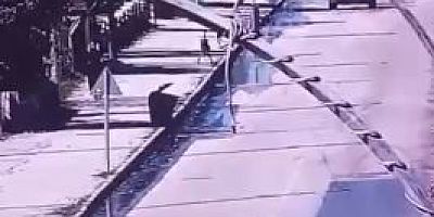 Hatay Emniyet Müdürlüğü görevlilerince