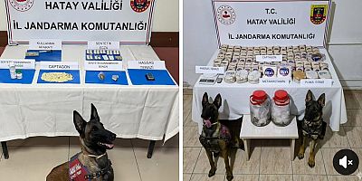 Hatay İl Jandarma Komutanlığı Narkotik Suçlarla Mücadele Şube Müdürlüğü, Reyhanlı İlçe Jandarma Komutanlığı, JASAT Timi ve Merkez Karakol Komutanlığı ekiplerince müşterek olarak yürütülen çalışma neticesinde;