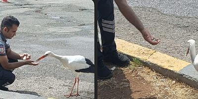 HBB’DEN YARALI LEYLEĞE, ŞEFKAT ELİ  