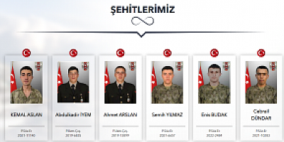 İç İşleri Bakanlığı, Emniyet Genel Müdürlüğü, Türk Silahlı Kuvvetleri ile Yüce Türk milletine başsağlığı ve sabır dileriz.  Yaralılara ise acil şifalar dileriz. Yaralı Mehmetçiğimize ise acil şifa diliyoruz.