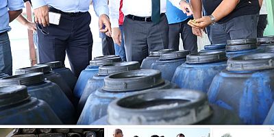 KAYMAKAM EROĞLU, ARSUZ'UN ZEYTİN ÜRETİMİNİ İNCELEDİ​