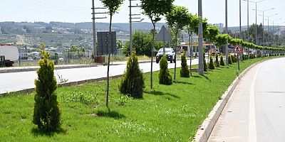 KENTİN ANA GİRİŞ ÇIKIŞ GÜZERGÂHI MUSA ŞAHİN BULVARI, DAHA RENKLİ BİR GÖRÜNÜME KAVUŞTU