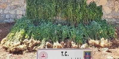 Uyuşturucu operasyonu