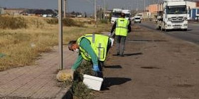 VATANDAŞIN TALEBİ ÜZERİNE HBB’DEN ANINDA MÜDAHALE EKİPLER KEMİRGEN İLE MÜCADELEYE DEVAM EDİYOR