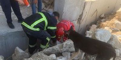 YAVRULARI KURTARILANA KADAR EKİPLERİN BAŞINDA BEKLEDİ 