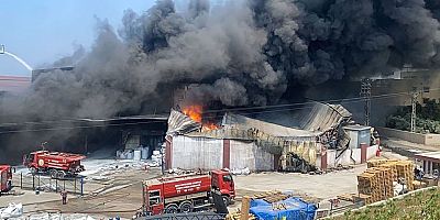 YİNE YANDIHatay’ın Arsuz ilçesinde antrepoda çıkan yangın kontrol altına alındı.