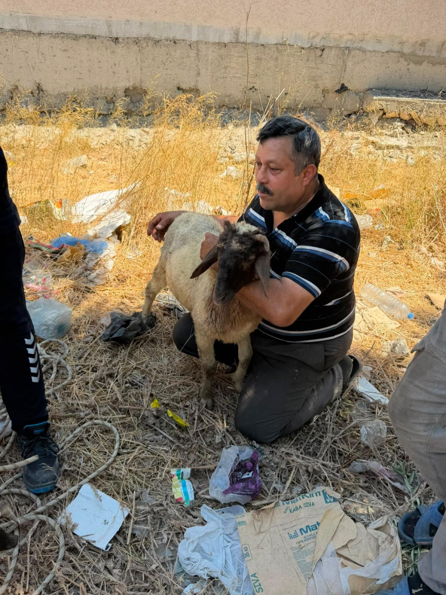 Haber Foto